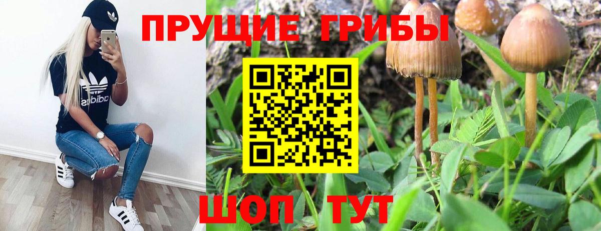 Псилоцибиновые грибы GOLDEN TEACHER  Псилоцибиновые грибы прущие грибы  Вход с VPN  Елизово 